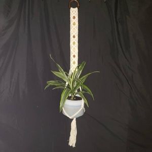 Homemade Macrame Plant Hanger